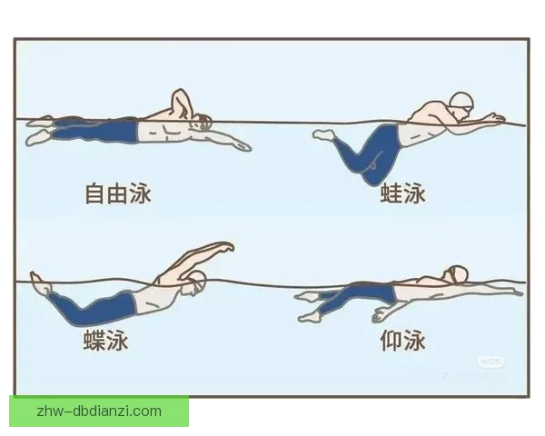 蛙泳运动技巧与训练方法详解