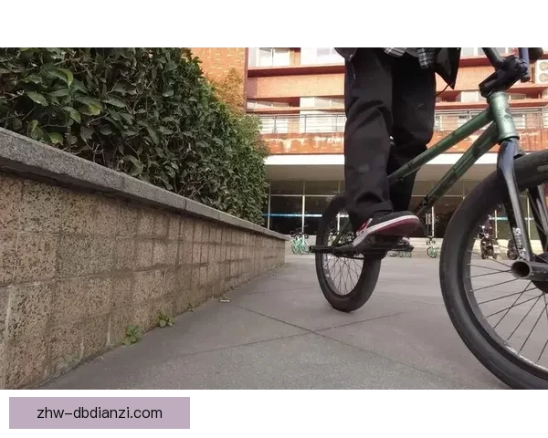 BMX数据分析：揭秘骑行趋势与技术创新