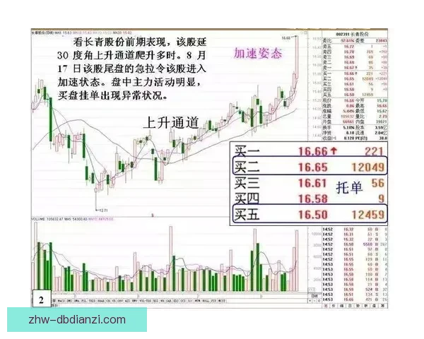 冲浪盘口分析：揭示股市风向标的秘密路径