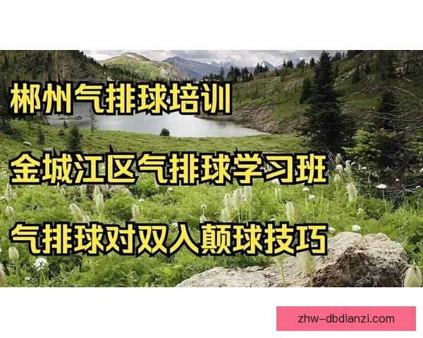 学习排球技术的视频教程