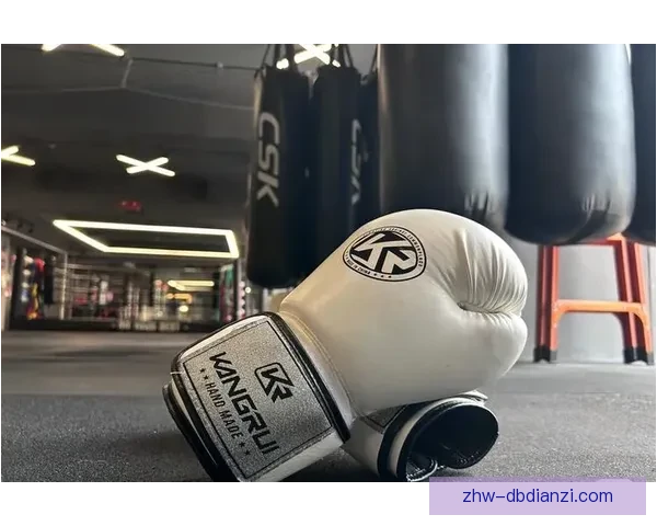 拳击数据分析：洞悉拳场风云，顶尖对决背后的数字密码