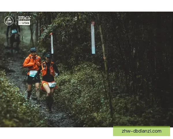 挑战极限！探索自然之美，体验越野跑大奖赛乐趣