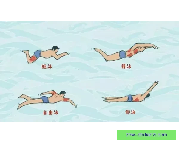 游泳入门指南：从零基础到掌握基本泳姿技巧