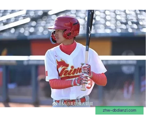 深度解析棒球精彩瞬间 深度解析棒球精彩瞬间