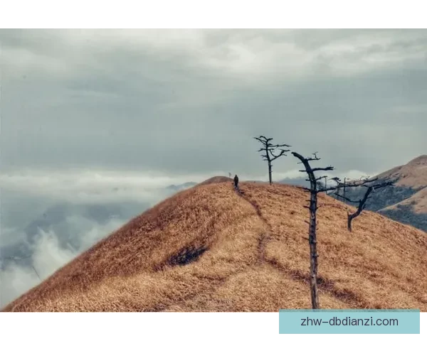 登山数据分析：揭秘高山挑战的数字密码