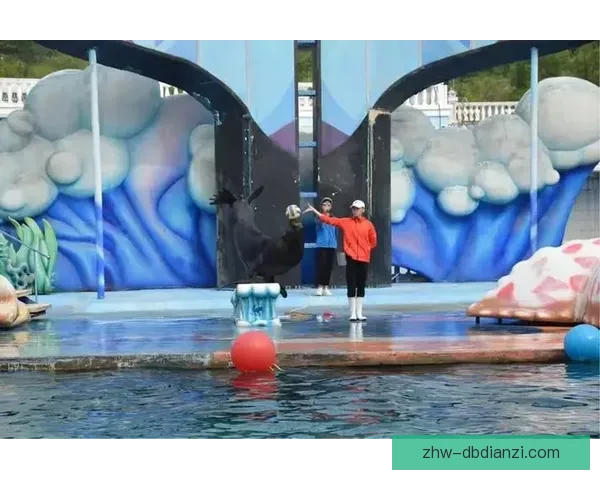 跳水数据分析：揭秘高难度动作背后的技术奥秘