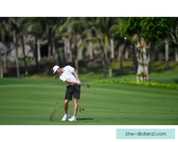高尔夫公开赛：挑战巅峰，尽显风采